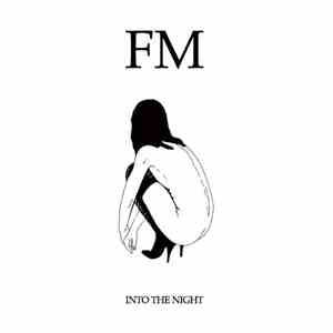 Fixmer / McCarthy - Into The Night download flac