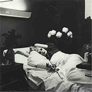 Antony And The Johnsons - I Am Bird Now download flac