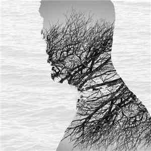 Carlo Toma - Introspective Boy download flac