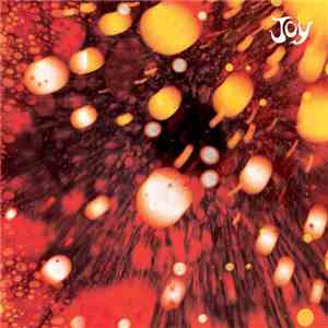Joy  - Joy download flac
