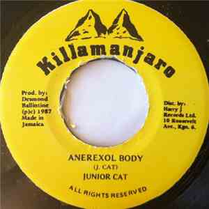 Junior Cat - Anerexol Body download flac