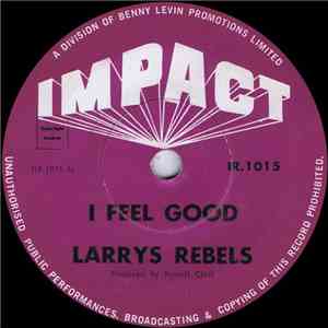 Larry's Rebels - I Feel Good download flac