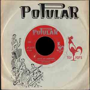 The Persons - Drive My Mustang download flac
