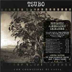 Tsubo  - ...Con Cognizione Di Causa download flac