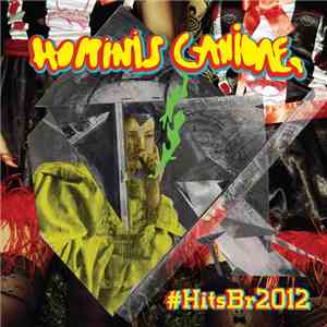 Various - HitsBr2012 download flac