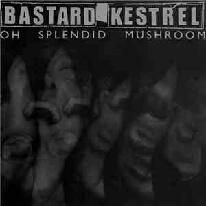 Bastard Kestrel - Oh Splendid Mushroom download flac