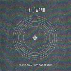 Duke Garwood & Wooden Wand - Duke / Wand FLAC album
