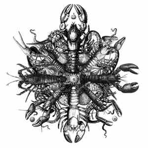 irr. app. (ext.) - Flux / Crayfish download flac