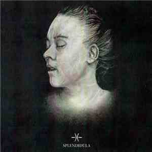 Splendidula - Post Mortem download flac