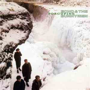 Echo & The Bunnymen - Porcupine download flac