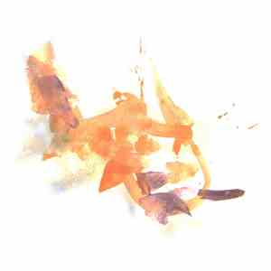 Name Does Not Matter - Pulse download flac