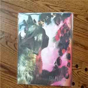 Pale Saints - The Comforts Of Madness download flac