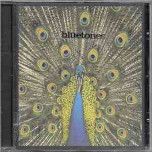 The Bluetones - Expecting To Fly download flac