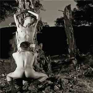 The Judas Cradle  - Homoerotic Plague download flac