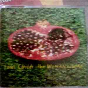 Toni Childs - The Woman's Boat download flac