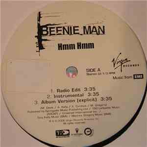 Beenie Man - Hmm Hmm download flac