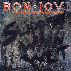Bon Jovi - You Give Love A Bad Name download flac