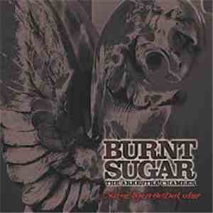 Burnt Sugar The Arkestra Chamber - Making Love To The Dark Ages download flac
