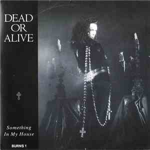 Dead Or Alive - Something In My House download flac