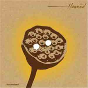 Hummmel - Fruchtstand download flac