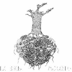 Lucy & Rone - Mediocritics download flac