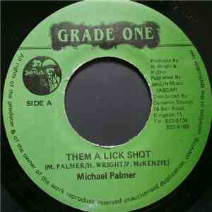 Michael Palmer - Them A Lick Shot download flac