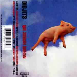 Didjits - Que Sirhan Sirhan download flac