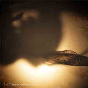 ReWIR3D & :10: - Aphotic download flac