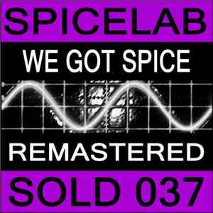 Spicelab - We Got Spice Remixes download flac
