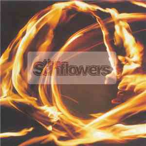 The Sunflowers - It's Only Everything download flac