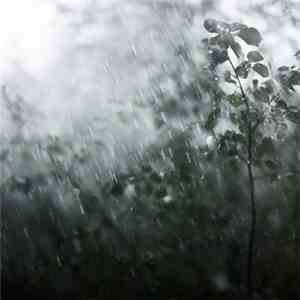 Autumn Nocturne - In The Rain download flac