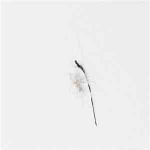 Dan Decalut - Sons Animés download flac