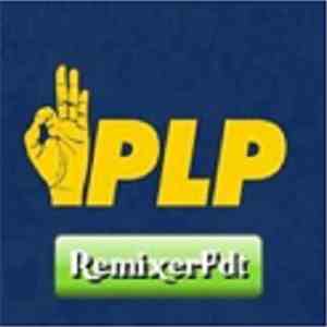 Dj Remixerfdt, Kevin MacLeod - PLP download flac