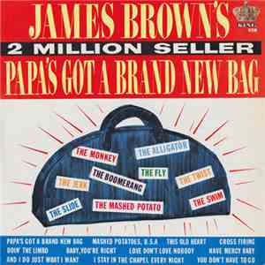 James Brown - Papa's Got A Brand New Bag download flac