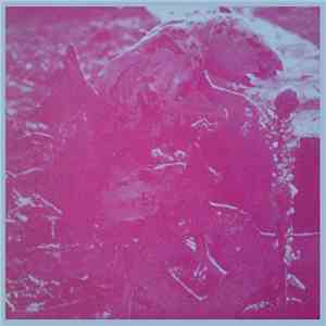 Merzbow & Emil Beaulieau - Live In Chicago download flac