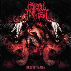 Mortal Torment - Resuscitation download flac