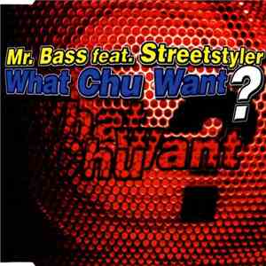 Mr. Bass Feat. Streetstyler - What Chu Want? download flac
