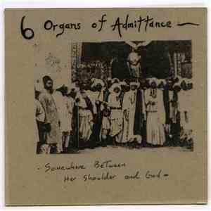 Six Organs Of Admittance - Somewhere Between Her Shoulder And God download flac