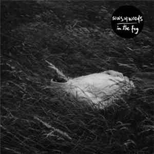 Sons Of Woods - In The Fog download flac