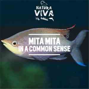 Mita Mita - In A Common Sense download flac
