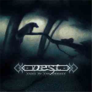 Nest - Trail Of The Unwary download flac