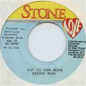 Beenie Man - Fat To The Bone download flac