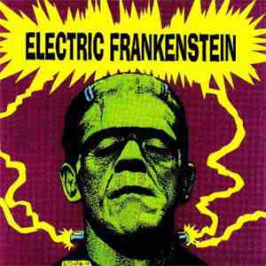Electric Frankenstein - I'm Not Your (Nothing) download flac