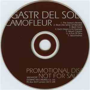 Gastr Del Sol - Camoufleur download flac