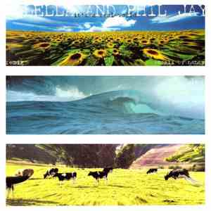 Molella & Phil Jay - It's A Real World Remix download flac