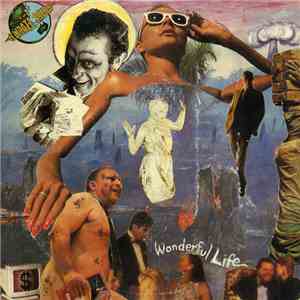 The Celibate Rifles - Wonderful Life download flac
