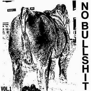 Various - No Bullshit Vol. 1 download flac