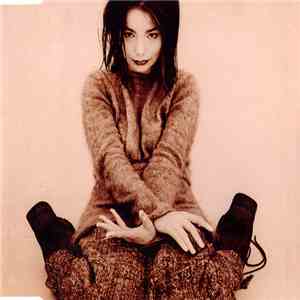 Björk - Violently Happy download flac