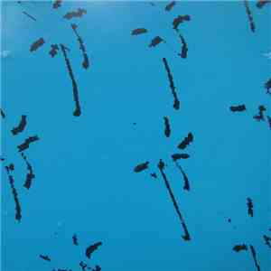 Mazzoll - Single 3 download flac