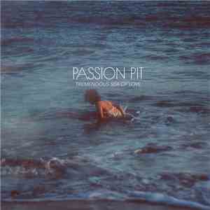 Passion Pit - Tremendous Sea Of Love download flac